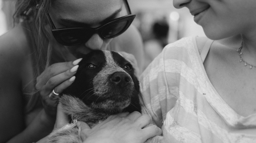 Φωτιές και ζώα: Τι είναι εθελοντισμός;