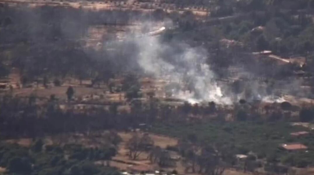 Οριοθετήθηκε άμεσα η πυρκαγιά στο Τατόι