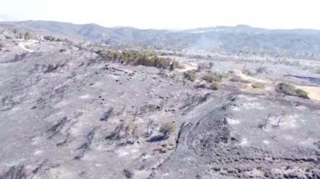 Κρανίου τόπος το παρθένο δάσος στο Βάτι Ρόδου