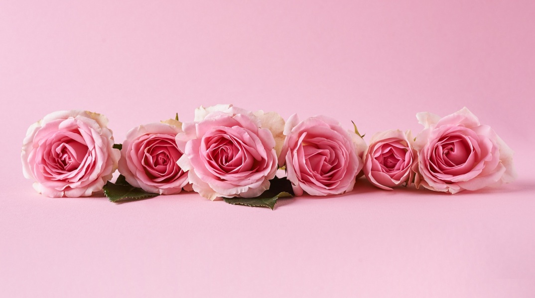 Ποιοι γιορτάζουν σήμερα 2 Αυγούστου; Το εορτολόγιο της Athens Voice σου τους θυμίζει. Μην ξεχάσεις να τους δώσεις τις καλύτερες ευχές σου!