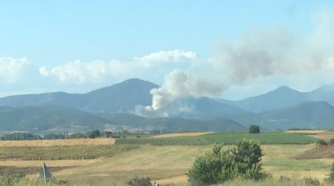 Φωτιά τώρα στη Ροδόπη