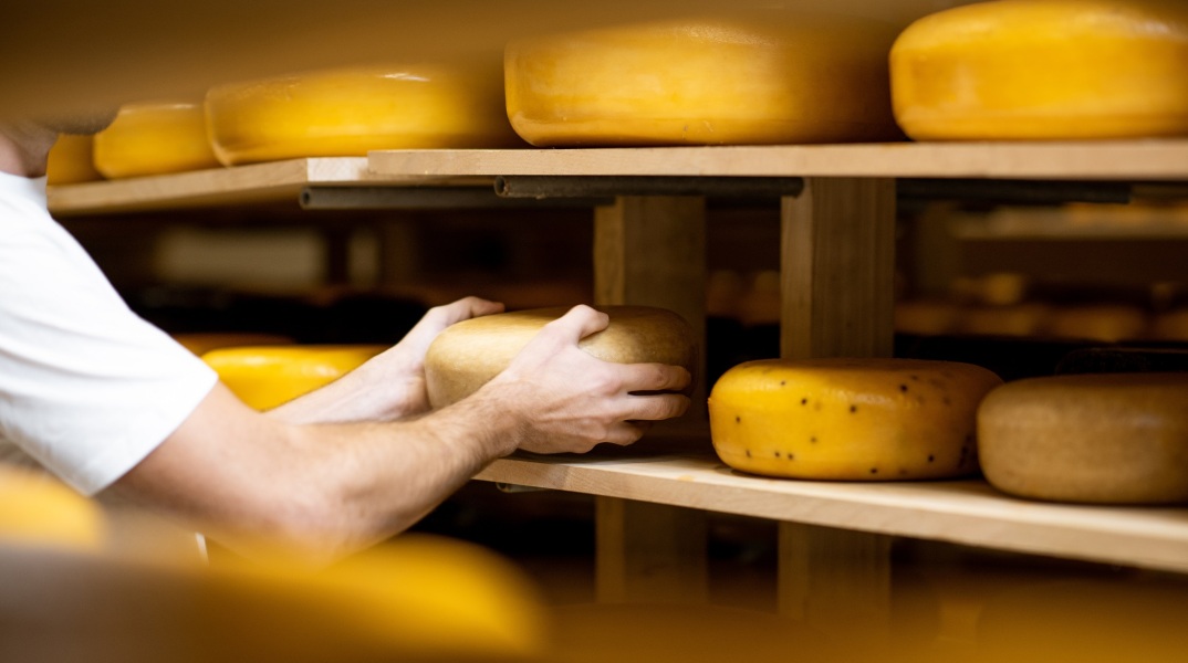 Ιταλία: Τυροκόμος σκοτώθηκε θαμμένος κάτω από χιλιάδες κεφάλια τυριού στη Λομβαρδία - Αλυσιδωτή πτώση επέφερε τον θάνατο σε αποθήκη φύλαξης.