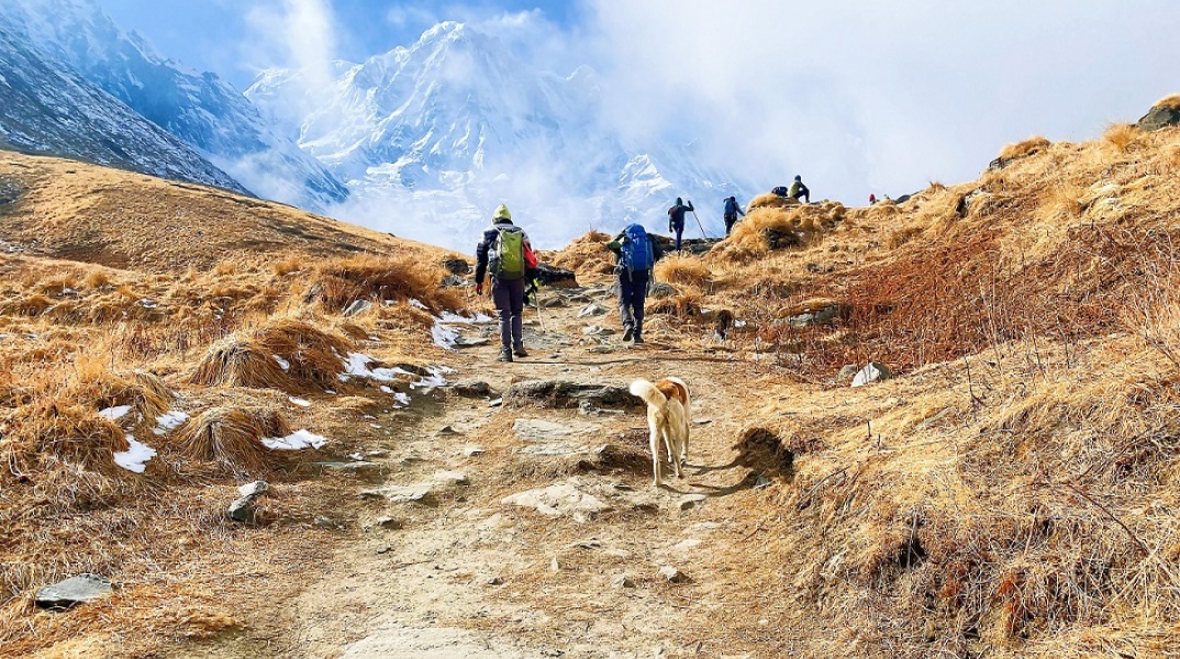 Περπάτημα: Τα σπουδαία οφέλη για την υγεία - Μεγάλη παγκόσμια έρευνα - Ο «μαγικός αριθμός» ημερήσιων βημάτων που μειώνει τους κινδύνους καρδιαγγειακών παθήσεων.