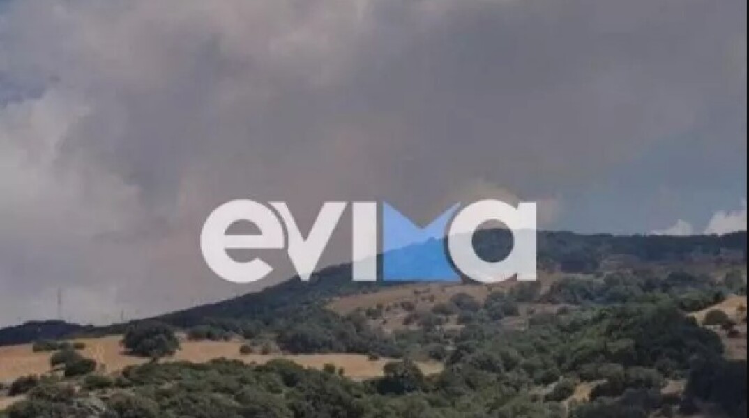 Φωτιά τώρα στην Κάρυστο