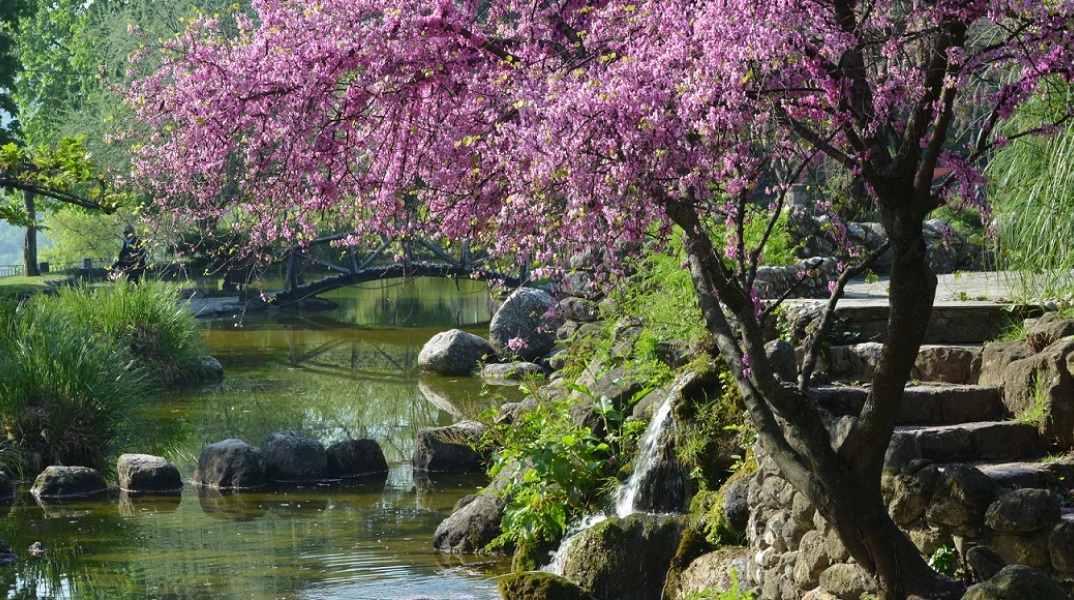 Νάουσα: Διαγωνισμός για την αναβάθμιση και ανάδειξη του ιστορικού πάρκου της περιοχής, ύψους 1,6 εκατ. ευρώ - Οι αρχιτεκτονικές παρεμβάσεις που σχεδιάζονται.