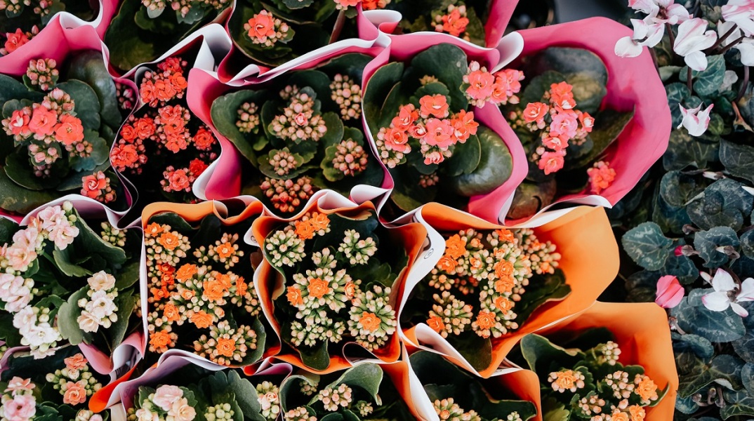 Εορτολόγιο: Σήμερα 1 Δεκεμβρίου 2023 γιορτάζει...