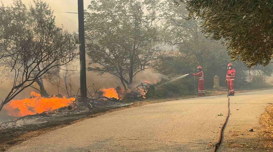 Φωτιά στην Αλεξανδρούπολη