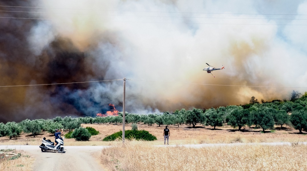 Φωτιά στην Εύβοια: Μήνυμα του 112 για εκκένωση των περιοχών Νέα Αρτάκη και Βατώντα - Μεγάλο το πύρινο μέτωπο από τη φωτιά που ξέσπασε στα Ψαχνά. 