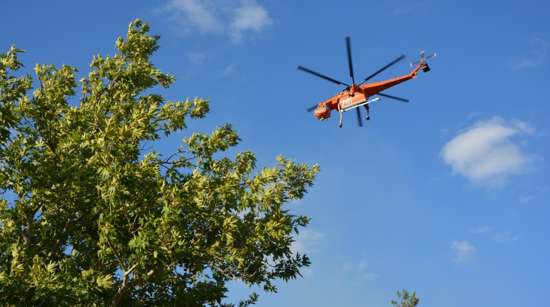 Πυρκαγιά στον Πρόδρομο Βοιωτίας: Έχασε τη ζωή του ηλικιωμένος βοσκός - Μεγάλο το μέτωπο, ιδιαίτερα ισχυροί οι άνεμοι, δηλώνει ο δήμαρχος Θήβας.