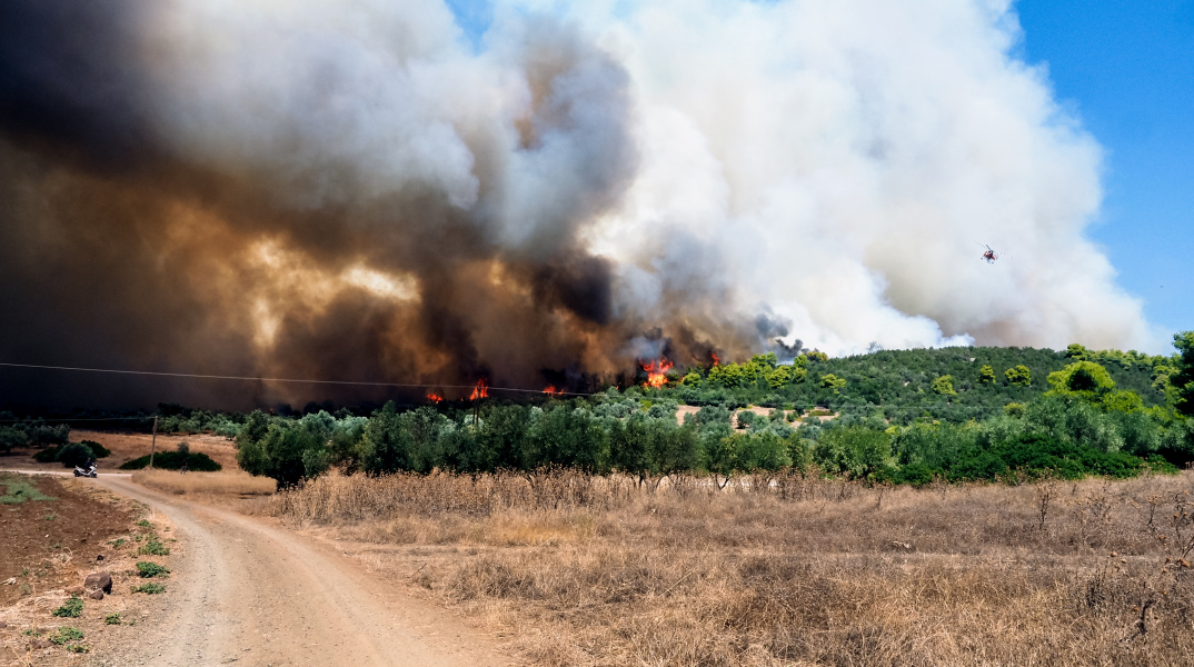 Φωτιά στην Εύβοια