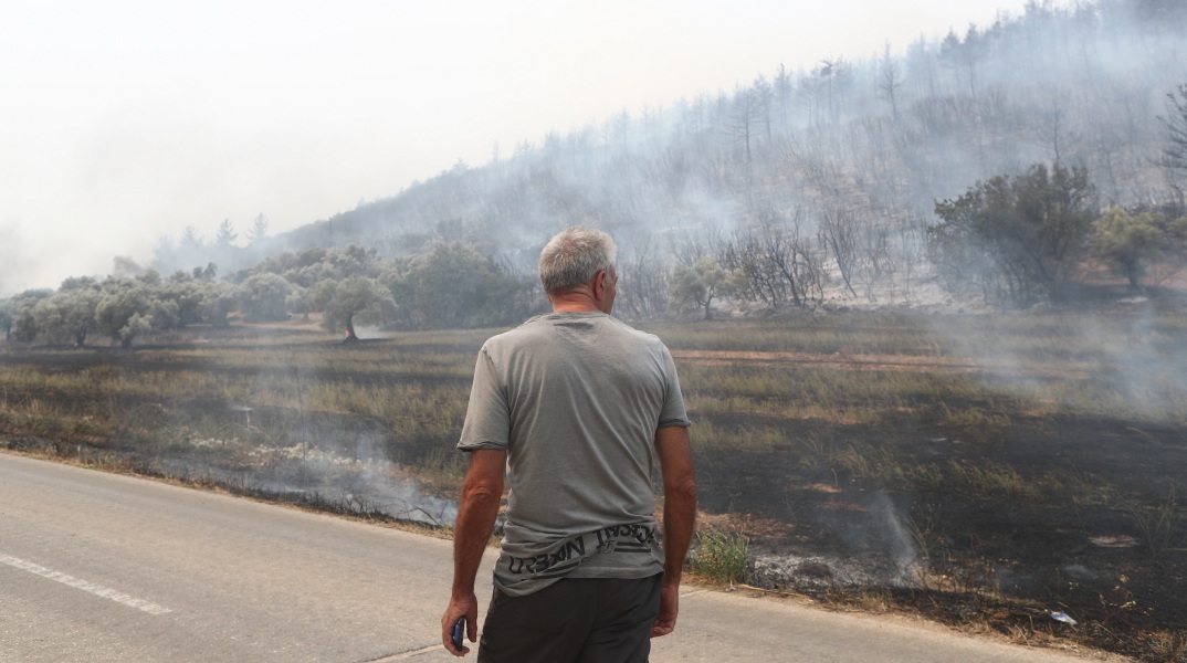 Αλεξανδρούπολη: Τι πρέπει να προσέξουν οι πολίτες όταν καθαρίζουν σε περιοχές από όπου πέρασε η φωτιά - Οδηγίες αυτοπροστασίας από τον ΕΟΔΥ.
