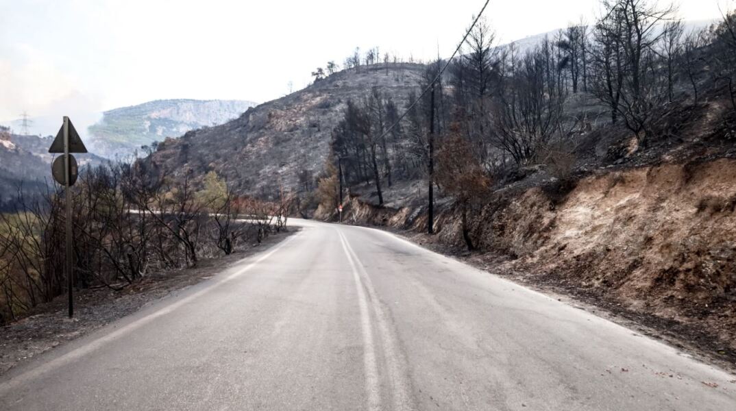 Φωτιά στη Φυλή