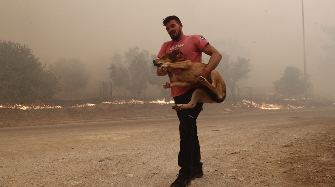 Ο Λεωνίδας Ρόδης μετέφερε σε ασφαλές μέρος ζώα που κινδύνευσαν από τη φωτιά στη Φυλή