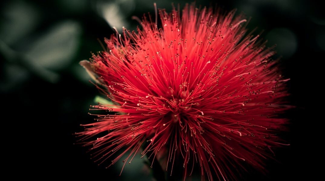 Εορτολόγιο: Σήμερα 26 Αυγούστου γιορτάζει…