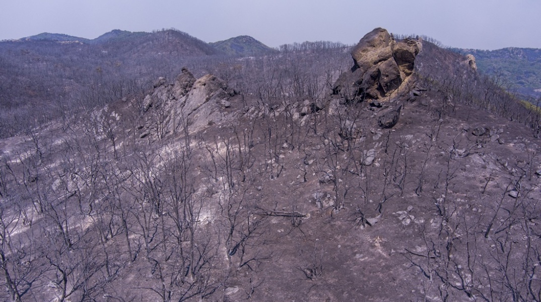 Καμένες εκτάσεις μετά το καταστροφικό πέρασμα της φωτιάς στον Έβρο
