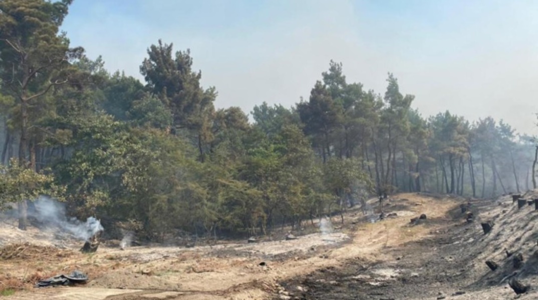 Φωτιά καίει στη Δαδιά