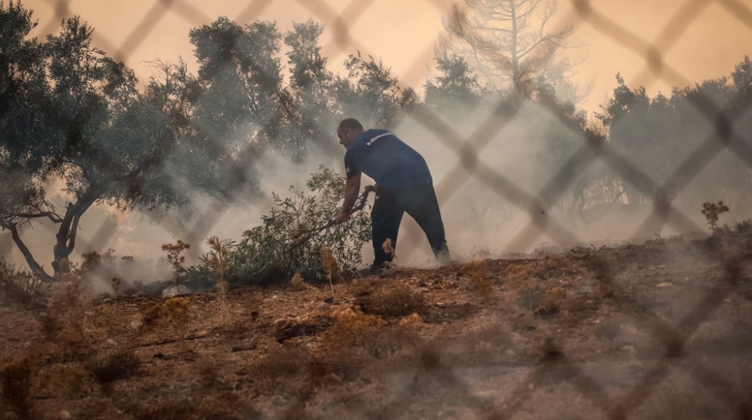 Άτομο προσπαθεί να συνδράμει στην κατάσβεση φωτιάς με κλαδί