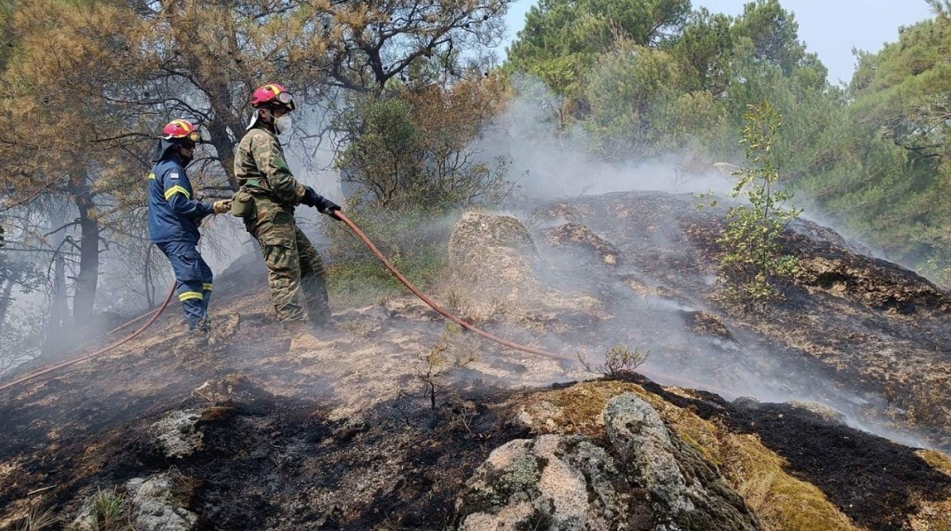 Αλέξανδρος Δημητρακόπουλος, πρόεδρος τμήματος Δασολογίας και Φυσικού Περιβάλλοντος ΑΠΘ: «Το δάσος της Δαδιάς χάθηκε για πάντα» - Οι επιπτώσεις στο οικοσύστημα.