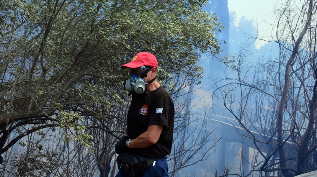 Φωτιά τώρα στην Παλλήνη - Κινητοποίηση της πυροσβεστικής - Διάσπαρτες οικίες και καλλιεργήσιμες εκτάσεις στην περιοχή - άνεμοι στα 3-4 μποφόρ.