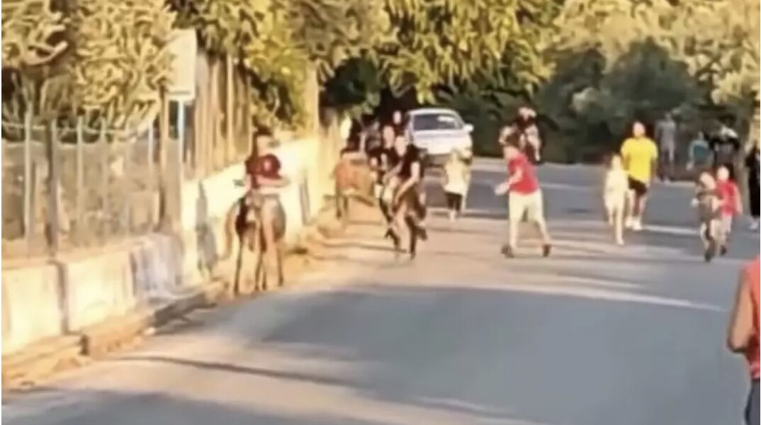 Γαϊδουροδρομίες στη Λέσβο