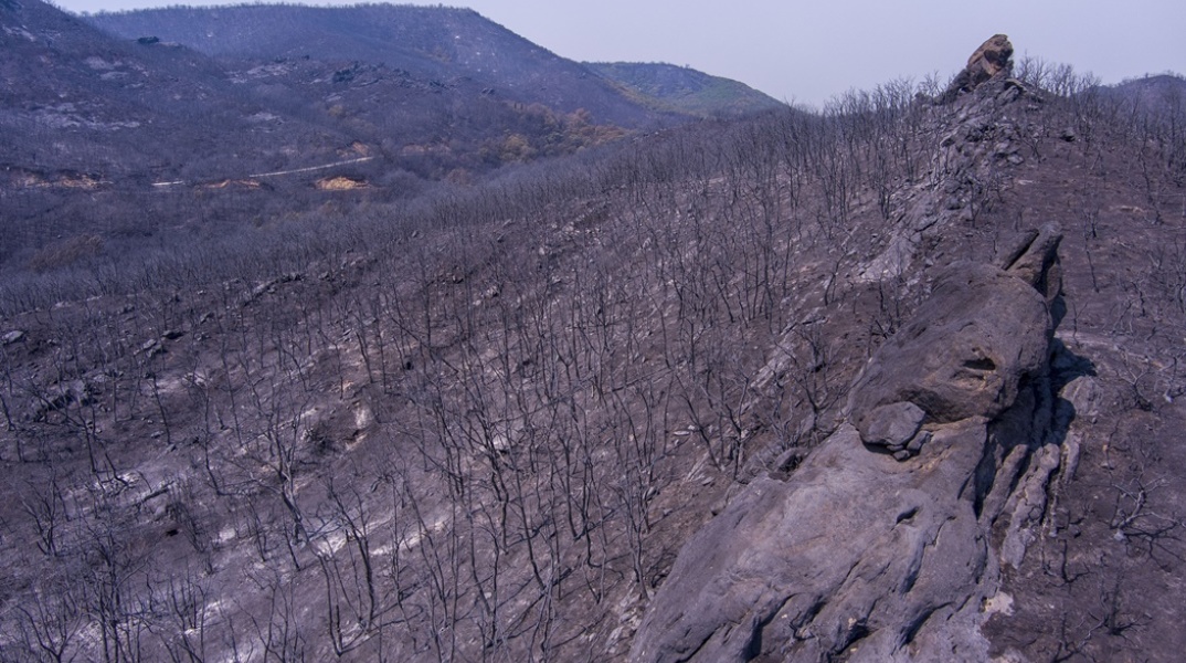 Φωτιά Έβρος - Καμένα στρέμματα