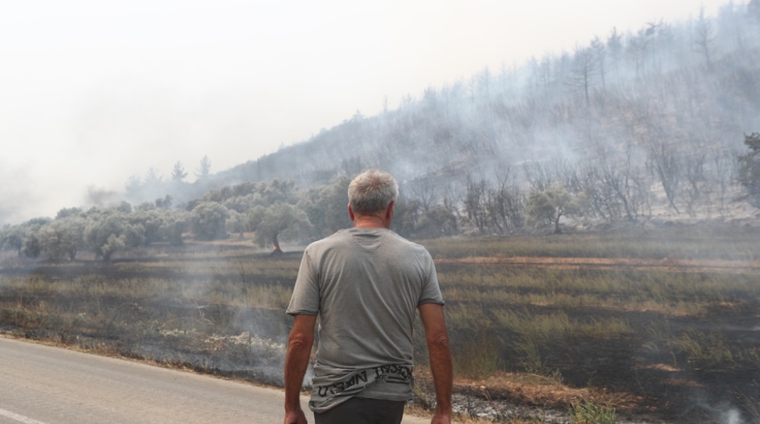 Άτομο μπροστά από καμένες εκτάσεις