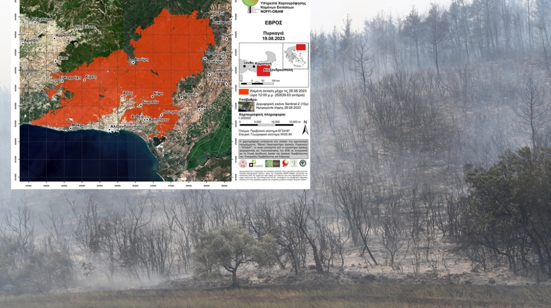 Καμένα δέντρα σε έκταση και αριστερά στη φωτογραφία η απεικόνιση του ΑΠΘ για τις καμένες εκτάσεις από τις φωτιές στον Έβρο