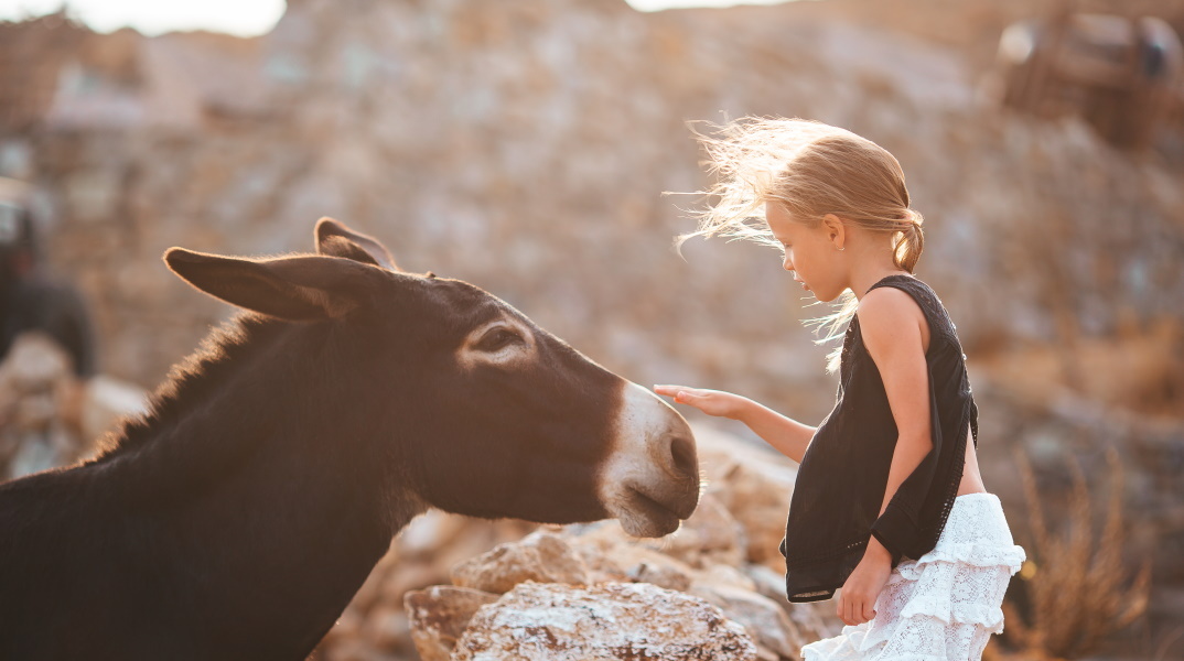 Παράδοση και ηθική: Όταν η κακοποίηση ζώων έχει δικαιολογία.