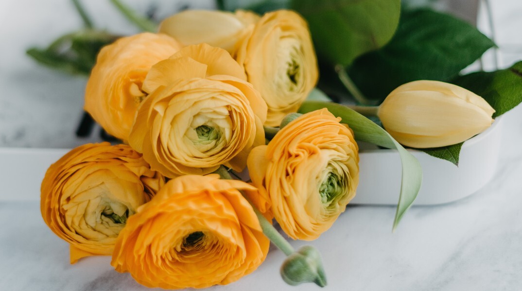 Εορτολόγιο: Σήμερα 19 Νοεμβρίου 2024 γιορτάζει…