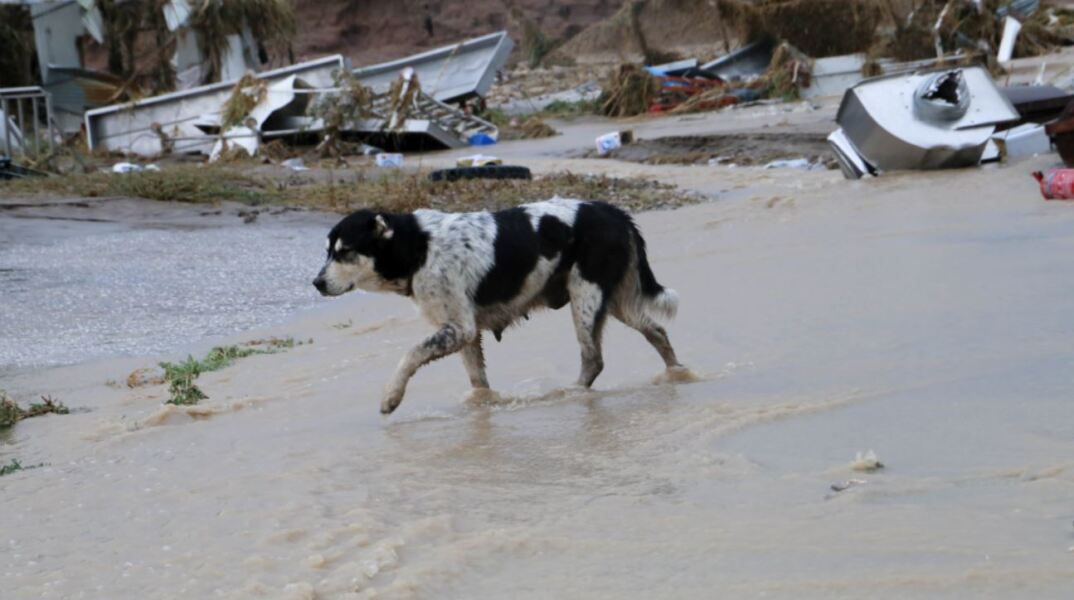Κακοκαιρία Daniel: Σοβαρά προβλήματα από τις ισχυρές βροχοπτώσεις