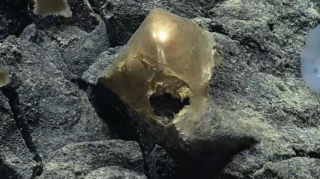 Αλάσκα: Mια λεία χρυσή σφαίρα βρέθηκε στον πυθμένα του βυθού - Επιστήμονες εικάζουν ότι μπορεί να είναι «το περίβλημα αυγού». 