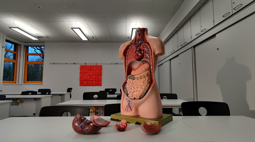 Χρήστος Χριστοδούλου: Δεν υπάρχει πρόληψη για τον καρκίνο του παγκρέατος 