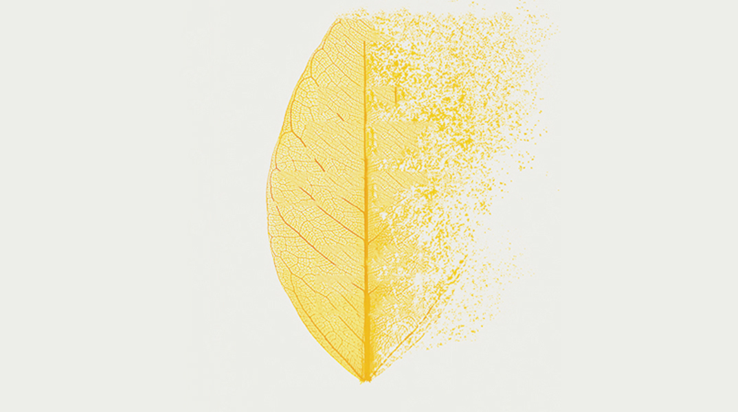 Γκαμπόρ Ματέ: Το κρυφό στρες και πώς μας επηρεάζει