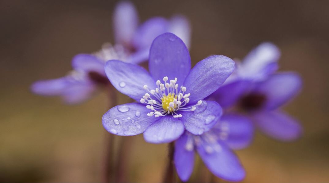 Εορτολόγιο: Σήμερα, 20 Σεπτεμβρίου, γιορτάζει… 