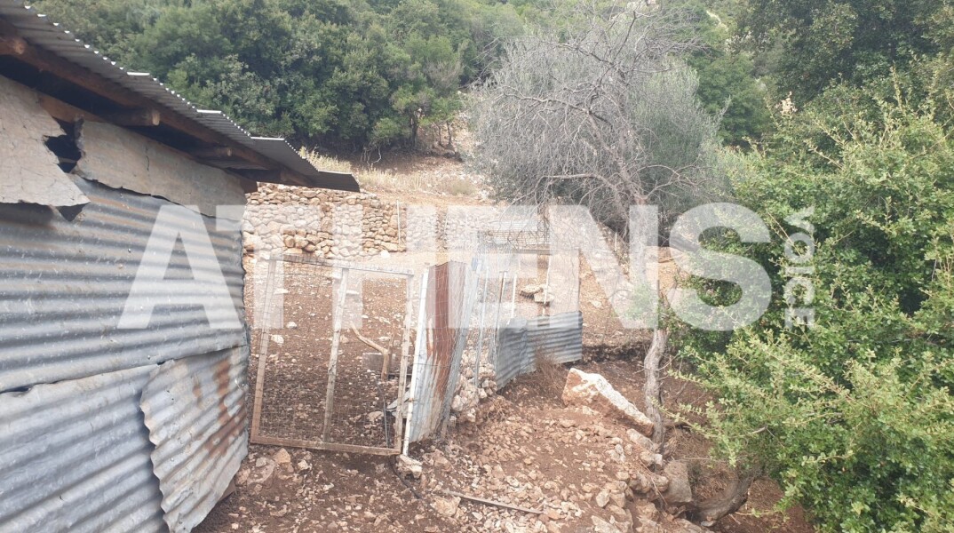 Άρτα: Εντοπισμός του 38χρονου γιου - Νεκρός ο πατέρας κοντά σε ποιμνιοστάσιο - Ο κτηνοτρόφος που βρήκε τον νεαρό γυμναστή μίλησε στην Athens Voice.