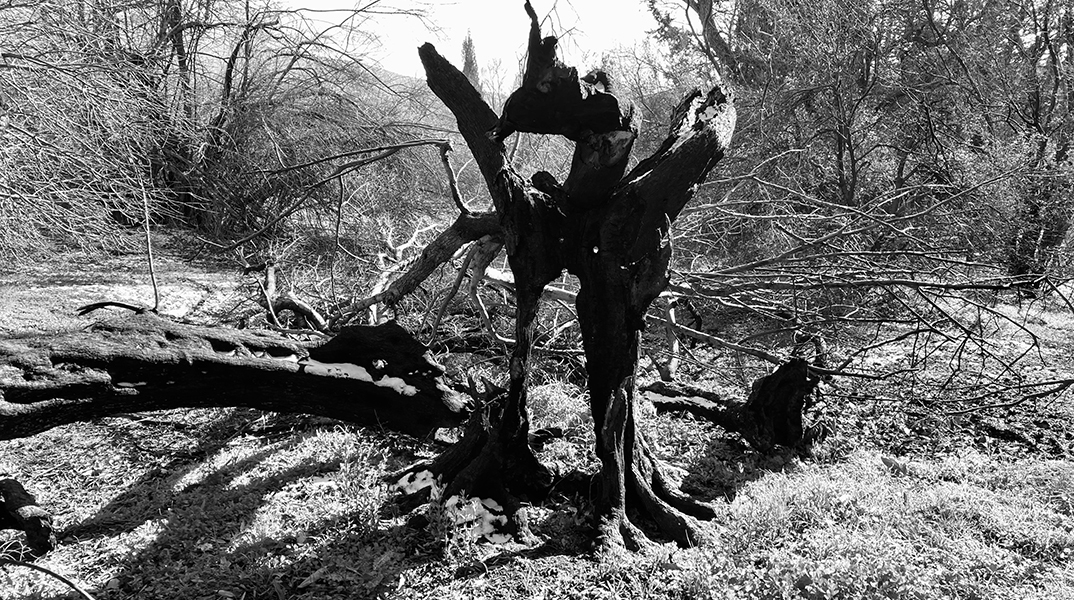 Καύσωνες ή ανεμογεννήτριες;