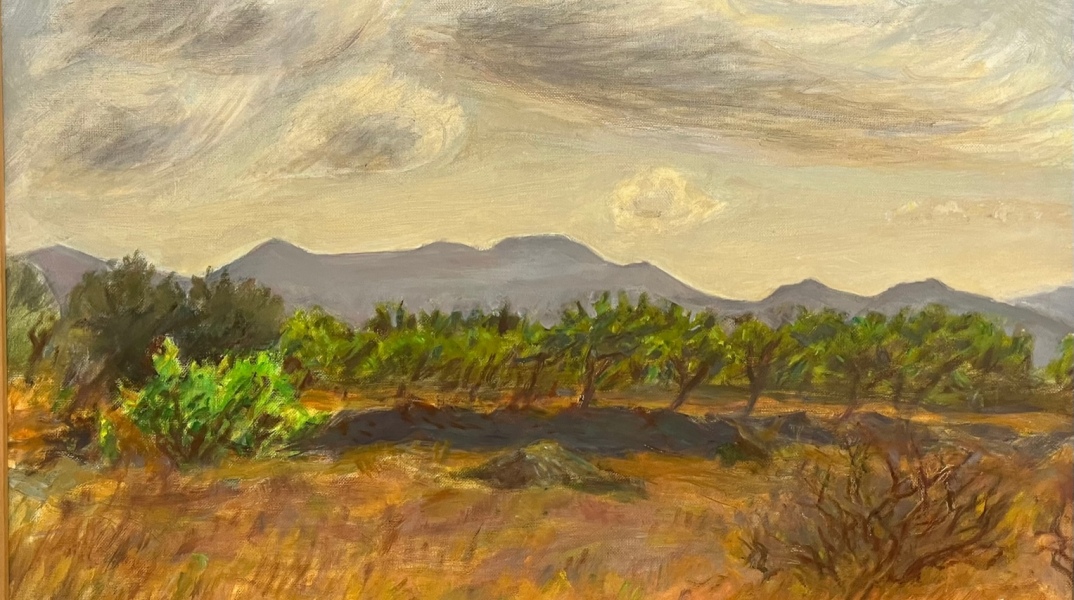 «Λόγω φωτός: το ίχνος της Αίγινας» στηνεοσύστατη Δημοτική Πινακοθήκη Αίγινας