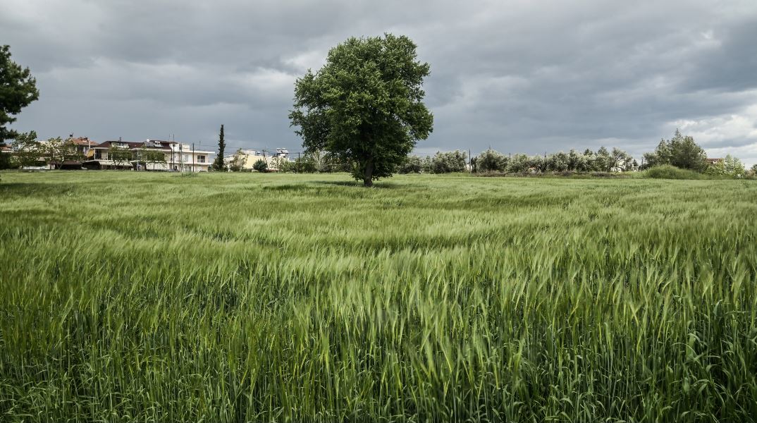 Με αραιές νεφώσεις και τοπικές βροχές ο καιρός την Παρασκευή