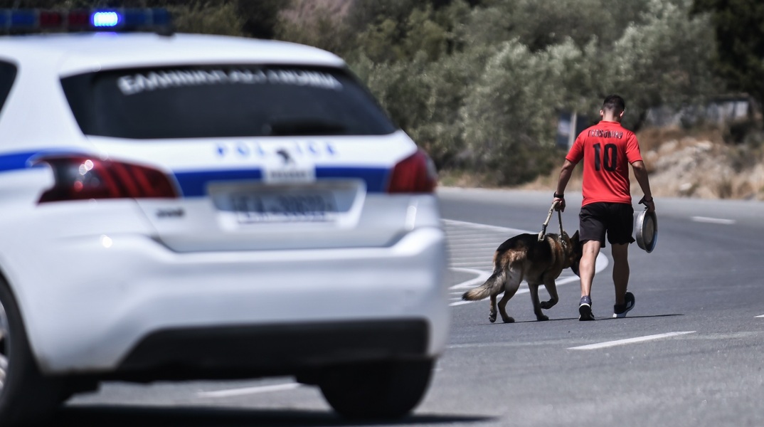 Σε ζητήματα προστασίας ζώων εκπαιδεύτηκαν στελέχη της Ελληνικής Αστυνομίας - Πώς μπορούν να καταγγέλλουν περιστατικά κακοποίησης οι πολίτες.