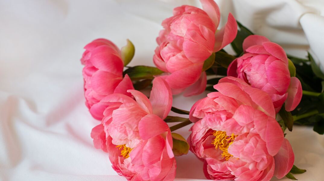 Λουλούδια μπουκέτο για τους εορτάζοντες της ημέρας