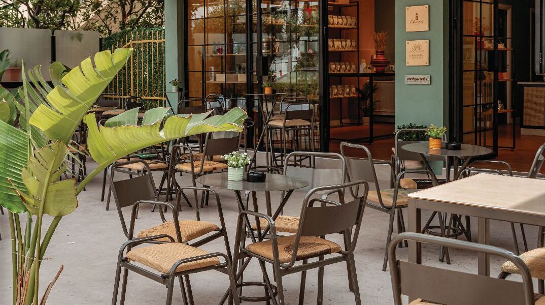 Chevalier Coffee Stand