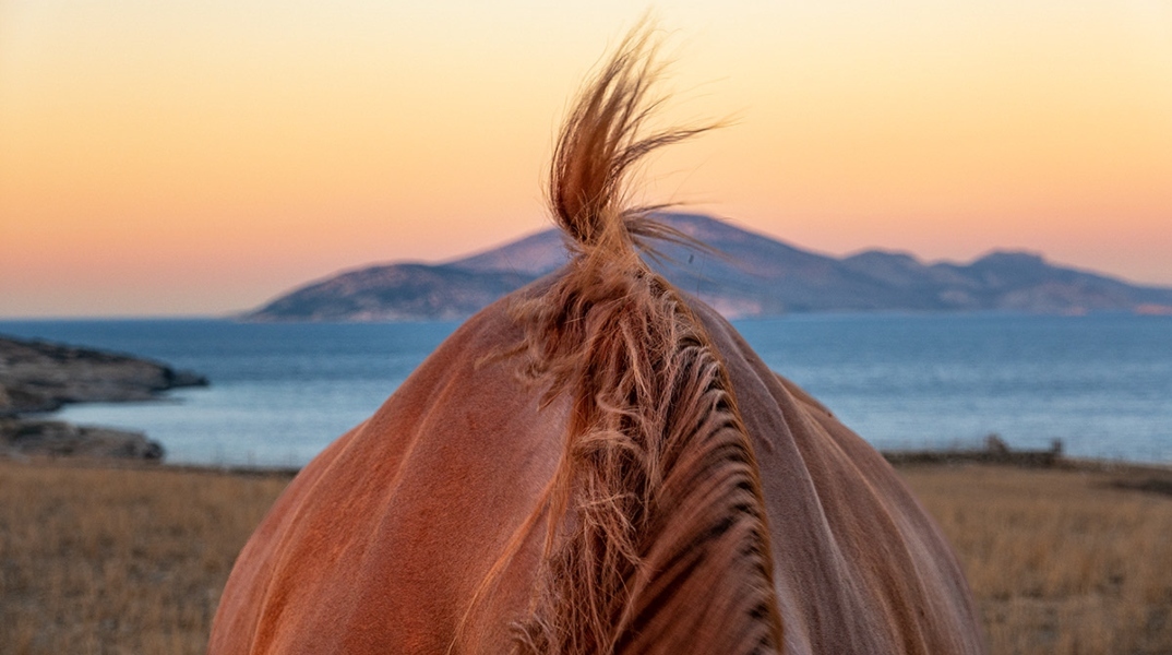 Κώστας Δελχάς: «Κάπου στο Αιγαίο» θα ξαναβρεθούμε