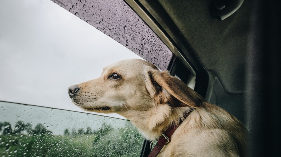 Καιρός: Αίθριος με νεφώσεις και τοπικές βροχές - Έως 27 βαθμούς Κελσίου η θερμοκρασία - Πρόγνωση για όλη την Ελλάδα από το meteo και την ΕΜΥ. 