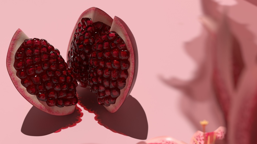 Οι ευεργετικές ιδιότητες του ροδιού στην αντιμετώπιση της εξάρτησης από οπιοειδή - Τα ευρήματα μελέτης του πανεπιστημίου Θεσσαλίας σε συνεργασία με τον ΟΚΑΝΑ.