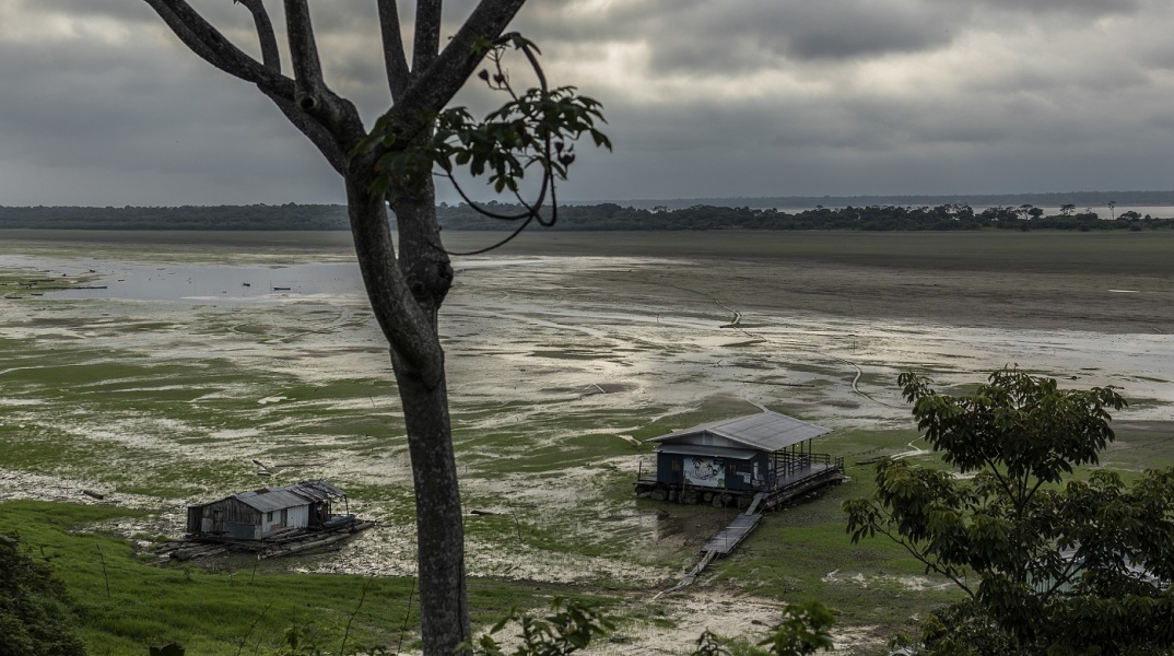 Αμαζόνιος: Λιμάνι στο τροπικό δάσος καταγράφει τη χαμηλότερη στάθμη νερού των τελευταίων 121 ετών εν μέσω ξηρασίας - Οι επιπτώσεις στο οικοσύστημα.