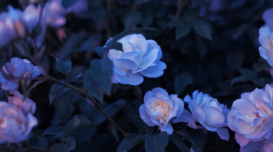 Εορτολόγιο: Σήμερα 18 Οκτωβρίου γιορτάζει…