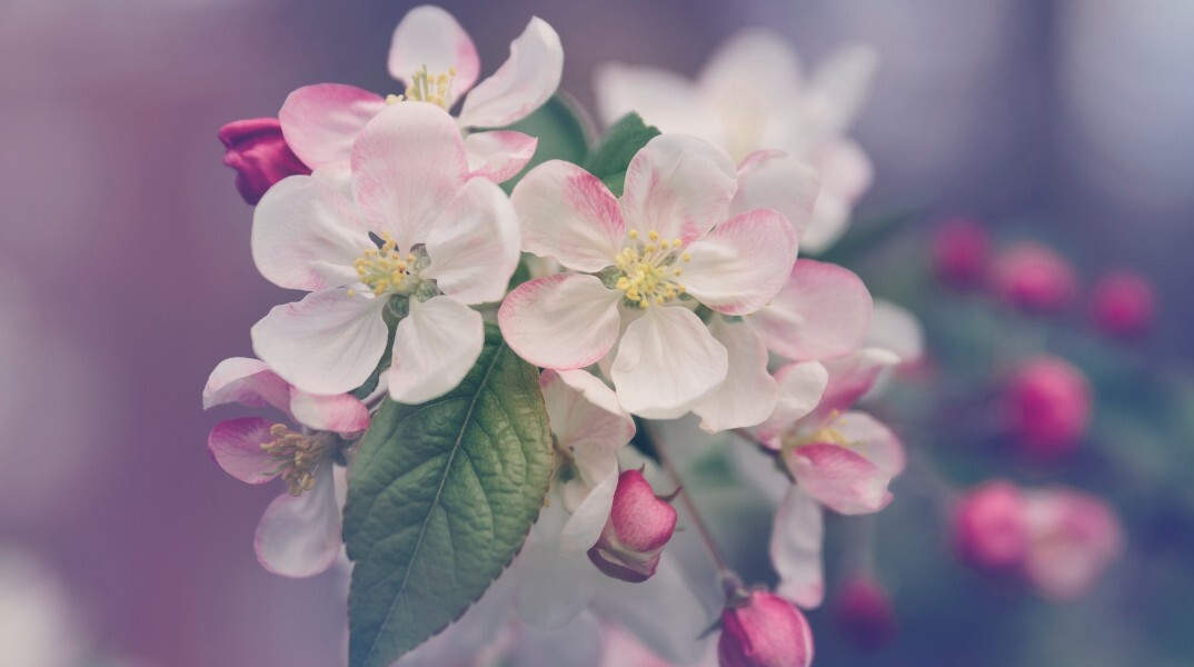 Εορτολόγιο: Σήμερα 22 Οκτωβρίου γιορτάζει…