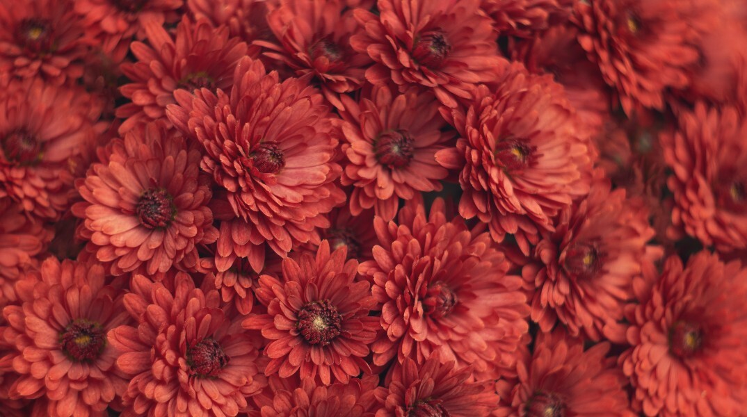 Εορτολόγιο: Σήμερα 1 Νοεμβρίου 2023 γιορτάζει…