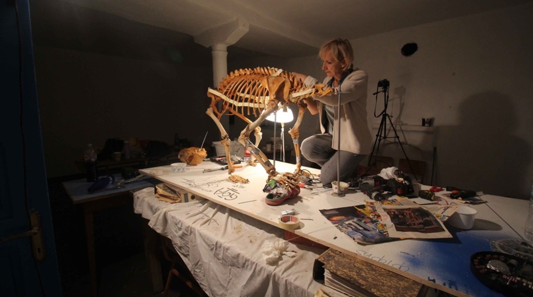 Επιστήμονες στη Θεσσαλονίκη ανασύνθεσαν τον σκελετό αρκούδας