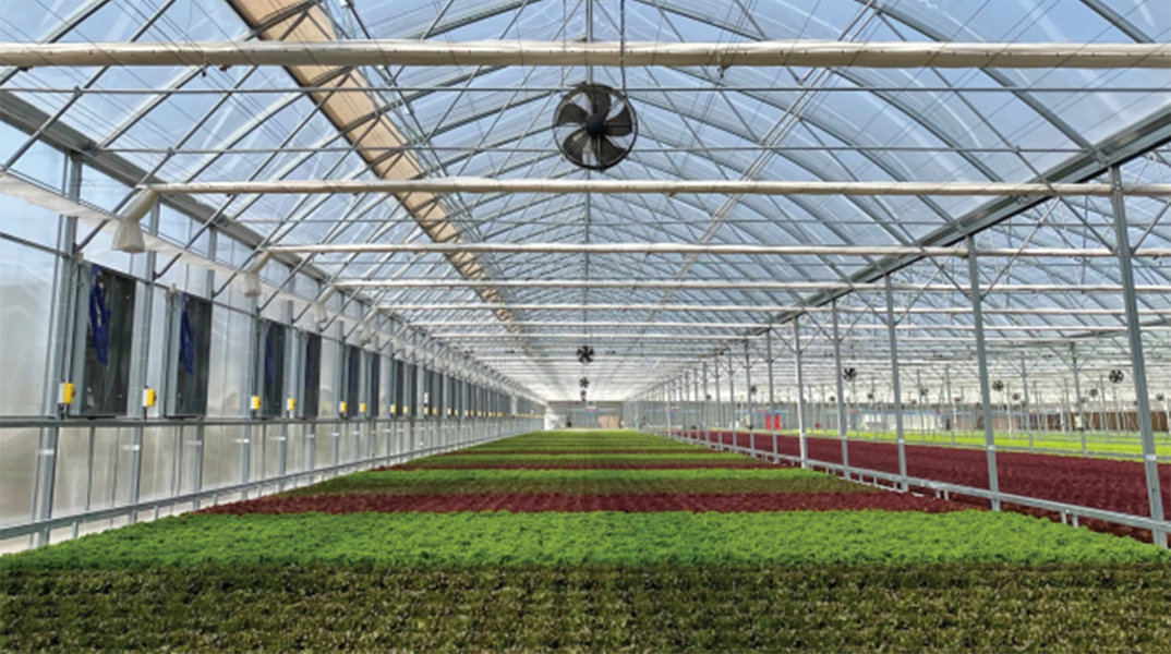 Ένας Μαγικός Κήπος ανθίζει από την ΕΝΤΕΚΑ